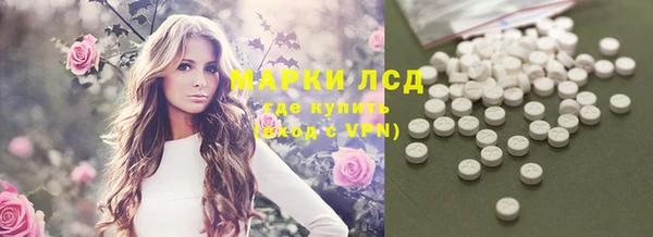 прущие грибы Покровск